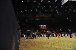 Extreme - 00826